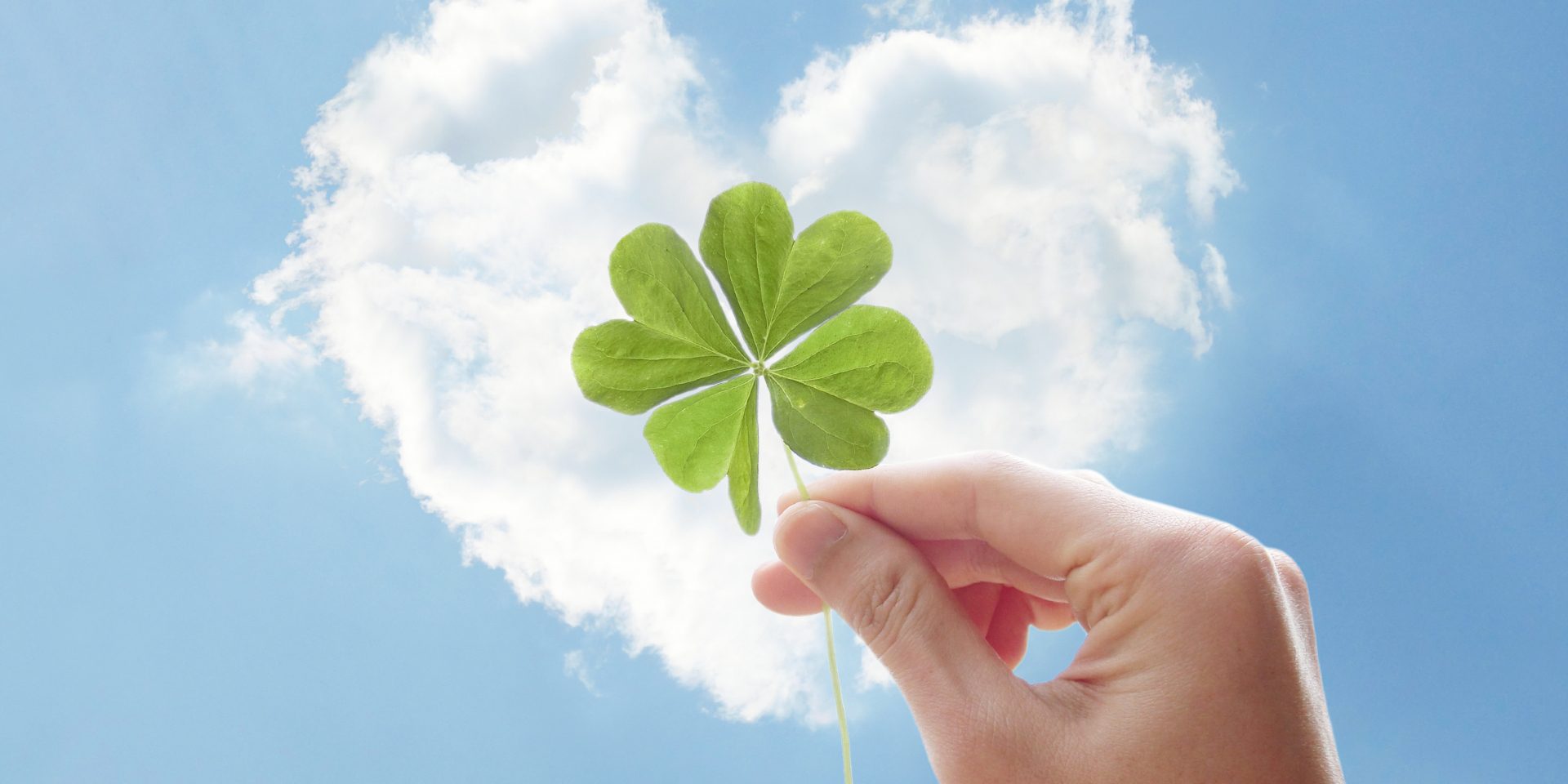 16cba041a88765d35a948019ae665f07_m